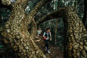 BIB: 
                            <button type="button" onclick="openModal(25701637)" class="btn btn-primary btn-sm float-right btn-popup" data-toggle="modal" data-target=".modal-high-quality">
                        <i class="fas fa-shopping-cart"></i> Add to Cart
                    </button>
                                            <button type="button" onclick="isThisMe(25701637, true)" class="btn btn-success btn-sm float-right btn-popup btn-isme hidden" data-toggle="tooltip" data-placement="bottom" title="นี่คือรูปของคุณใช่ไหม คลิกที่นี่เพื่อเอาเข้าอัลบั้ม">
                        <i class="fas fa-plus"></i> Add to album
                    </button>
                    <button type="button" onclick="isThisMe(25701637, false)" class="btn btn-warning btn-sm float-right btn-popup btn-isnotme hidden">
                        <i class="fas fa-ban"></i> Remove from album
                    </button>